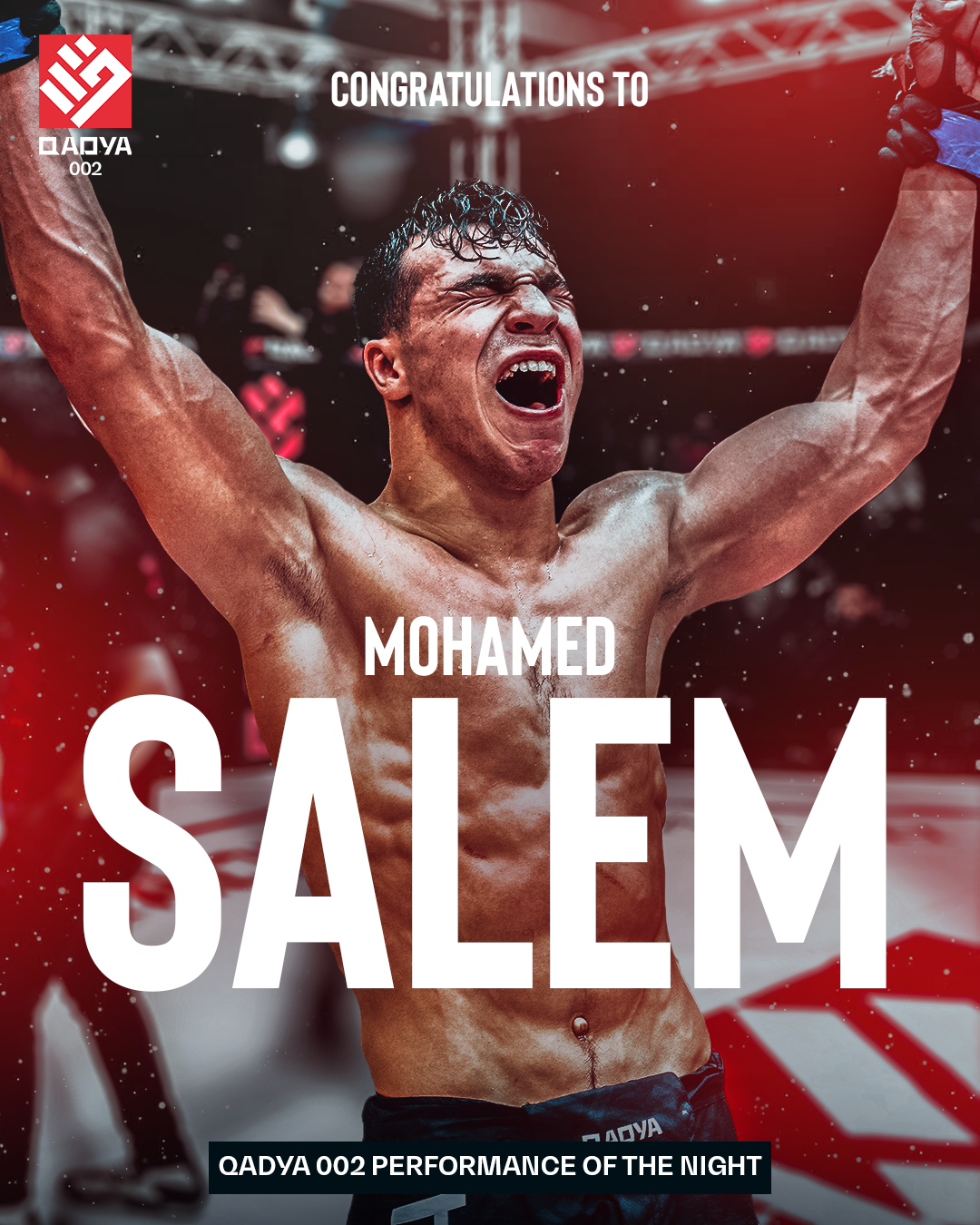 MMA organization advertisement example